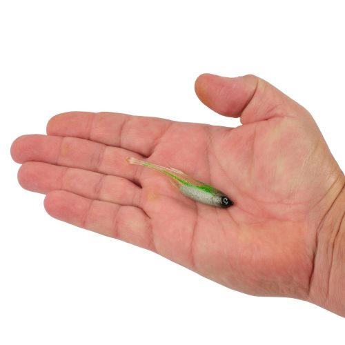 Berkley PowerBaitDripMinnow GreenLiner 3in HAND