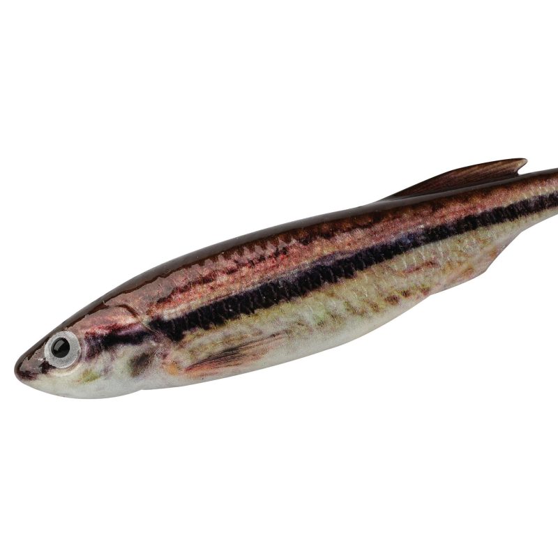 Berkley PowerBaitDripMinnow HDBlacknoseShiner alt2